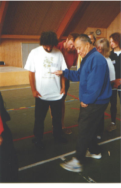 Chinese Yoga: Rooting, Rooted like a tree